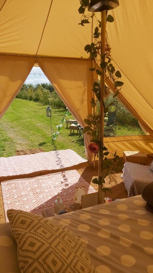 Hopgarden Glamping - Luxury 6M Bell Tent Wadhurst Exterior photo