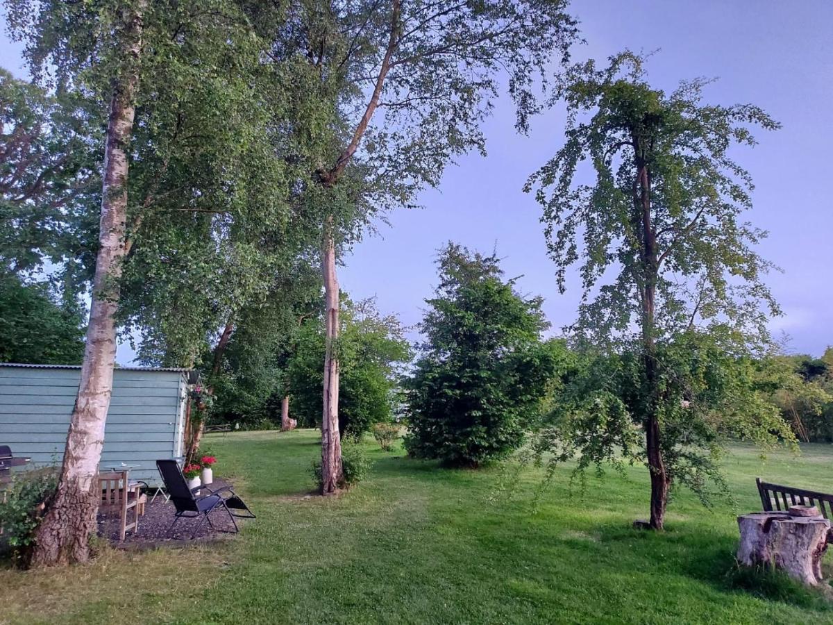 Hopgarden Glamping - Luxury 6M Bell Tent Wadhurst Exterior photo
